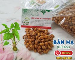 Mua bán hạ (củ chóc) ở đâu tại tphcm ???