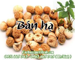 Mua bán hạ ở đâu tại TPHCM ???