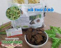 Mua bán hà thủ ô đỏ tại huyện Chương Mỹ chữa sốt rét lâu ngày hại đến chân âm