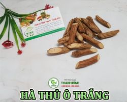 Mua bán hà thủ ô trắng tại Hậu Giang hỗ trợ giúp bồi bổ cơ thể hiệu quả