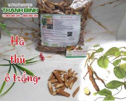 Mua bán hà thủ ô trắng tại huyện Ba Vì giúp ăn ngủ được