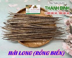 Mua bán hải long tại quận 11 có tác dụng chữa u nhọt uy tín nhất