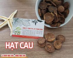 Mua bán hạt cau ở quận Thủ Đức giúp chống buồn nôn do say tàu xe rất tốt