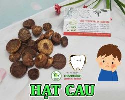 Mua bán hạt cau tại Kom Tom hỗ trợ điều trị chứng chóc lở da đầu