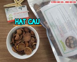 Mua bán hạt cau tại Sơn Tây giúp kiểm soát bệnh tiểu đường rất tốt
