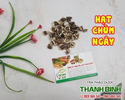 Mua bán hạt chùm ngây ở huyện Cần Giờ hỗ trợ tăng cường sức khỏe và sinh lý