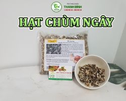 Mua bán hạt chùm ngây tại Cao Bằng hỗ trợ phòng ngừa bệnh cảm cúm