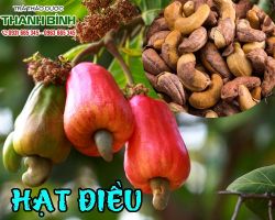 Mua bán hạt điều ở đâu uy tín tại TPHCM?