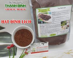 Mua bán hạt đình lịch ở quận Phú Nhuận giúp điều trị mụn nhọt an toàn nhất