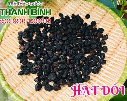 Mua bán hạt dổi tại quận 7 có tác dụng giảm đau bụng