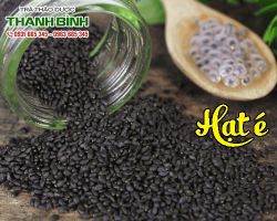 Mua bán hạt é tại huyện Đan Phượng giúp duy trì xương chắc khỏe
