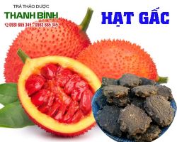 Mua bán hạt gấc tại quận Gò Vấp có tác dụng điều trị bệnh trĩ hiệu quả nhất