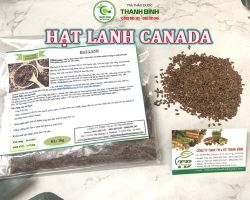 Mua bán hạt lanh canada tại Hưng Yên giúp giải độc ruột và giảm cân tốt nhất