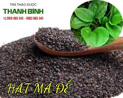 Mua bán hạt mã đề tại quận Hai Bà Trưng giúp tăng cường bài tiết nước tiểu