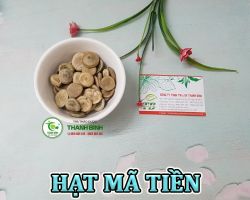 Mua bán hạt mã tiền tại Hải Dương hỗ trợ cải thiện tình trạng suy nhược cơ thể do đau