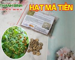 Mua bán hạt mã tiền tại TPHCM uy tín chất lượng tốt nhất