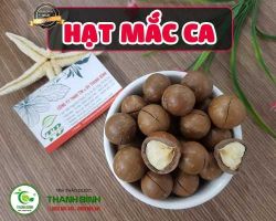 Mua bán hạt mắc ca tại huyện Phú Xuyên giúp ngăn ngừa bệnh ung thư phổi