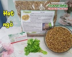 Mua bán hạt ngò tại quận Long Biên chữa trị bệnh thấp khớp