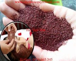 Mua bán hạt ngũ hoa tại quận 3 có tác dụng hỗ trợ điều trị mụn mủ