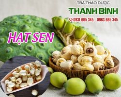 Mua bán hạt sen ở quận Phú Nhuận có tác dụng bổi bổ cơ thể khi bị sốt