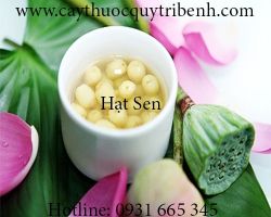 Mua bán hạt sen tại Hải Dương giúp tăng sức đề kháng cho cơ thể rất tốt