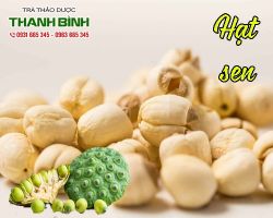 Mua bán hạt sen tại quận Thanh Xuân có tác dụng ích thận