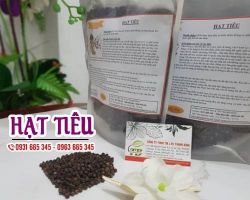 Mua bán hạt tiêu ở huyện Bình Chánh hỗ trợ trị chứng đau phía dưới tim