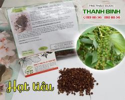 Mua bán hạt tiêu tại quận Hà Đông có tác dụng chữa buồn nôn