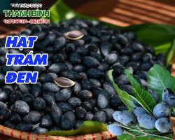 Mua bán hạt trám đen ở huyện Hóc Môn trị trướng bụng đau quặn