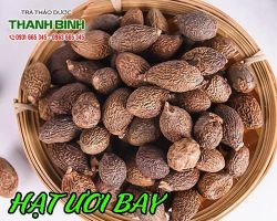 Mua bán hạt ươi ở huyện Cần Giờ tốt cho phụ nữ mãn kinh