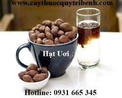 Mua bán hạt ươi tại tp hcm uy tín chất lượng tốt nhất