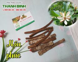 Mua bán hậu phác tại huyện Mỹ Đức hỗ trợ chữa viêm loét dạ dày tá tràng