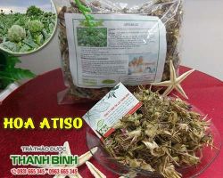 Mua bán hoa atiso ở quận Thủ Đức giúp điều trị mất ngủ an toàn nhất