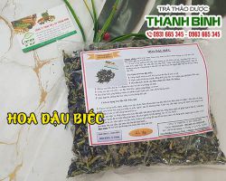 Mua bán hoa đậu biếc ở quận Thủ Đức giúp đẹp da từ bên trong ngừa lão hóa