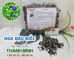 Mua bán hoa đậu biếc tại huyện Hoài Đức giúp tăng sức đề kháng