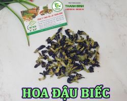 Mua bán hoa đậu biếc tại Lai Châu hỗ trợ chống lão hóa chảy xệ