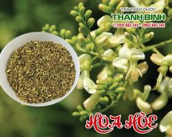 Mua bán hoa hòe tại quận 5 hỗ trợ điều trị chứng xuất huyết ở phổi