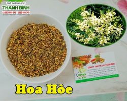 Mua bán hoa hòe tại Sơn Tây trị bệnh viêm tuyến vú cấp tính