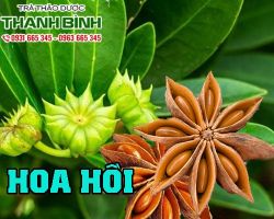 Mua bán hoa hồi tại quận 8 có tác dụng cải thiện giấc ngủ