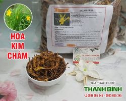 Mua bán hoa kim châm ở quận Tân Bình giúp thanh nhiệt giải độc rất tốt