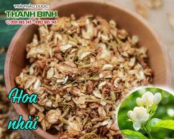 Mua bán hoa nhài tại huyện Sóc Sơn có tác dụng chống lão hóa