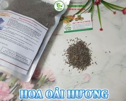Mua bán hoa oải hương tại Hòa Bình có công dụng làm dịu cơn đau