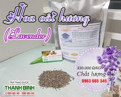 Mua bán hoa oải hương tại huyện Phúc Thọ hỗ trợ trị đầy hơi, đau bụng
