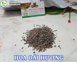 Mua bán hoa oải hương tại Thái Bình giúp điều trị đau bụng, đầy hơi hiệu quả