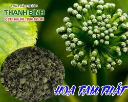 Mua bán hoa tam thất ở quận Bình Tân điều trị viêm khớp xương