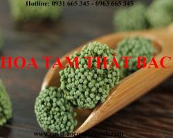 Mua bán hoa tam thất tại huyện Mê Linh điều trị bệnh mất ngủ hiệu quả
