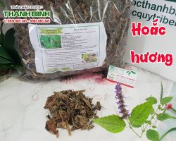 Mua bán hoắc hương tại huyện Từ Liêm hỗ trợ trị nhức đầu, cảm cúm