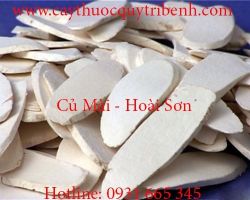 Mua bán hoài sơn tại Hà Nội có tác dụng điều trị ho hiệu quả nhất