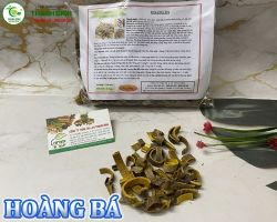 Mua bán hoàng bá tại Bắc Kạn giúp ức chế một số loại nấm có thể gây bệnh ngoài da