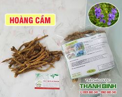 Mua bán hoàng cầm ở huyện Củ Chi giúp điều trị miệng đắng an toàn nhất